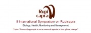 II Simposi Internacional sobre Rupicapra (Bellver de Cerdanya)