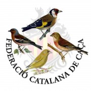 Campionat de Catalunya Ocellaire modalitat de Cant Silvestre 2016