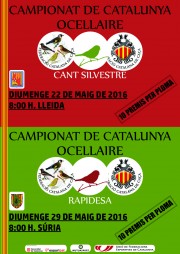Campionat de Catalunya Ocellaire modalitat de Rapidesa 2016
