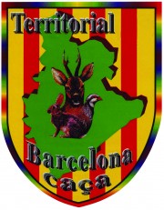 Junta General de la Representació Territorial de Barcelona