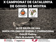 Campionat de Catalunya de Gossos de Mostra 2014