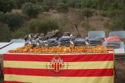 Federació Catalana de Caça