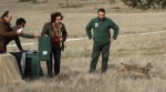 Alliberament d’un linx nascut en captivitat a la Sierra Morena de Ciudad Real. Iberlince