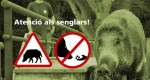 El Consorci del Parc de Collserola demana precaució en cas d’encontre amb senglars