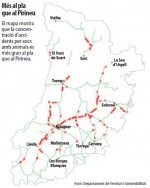 La Generalitat detecta 99 trams de risc de xoc amb senglars i cérvols a les seues carreteres