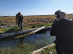 Caçadors, Federació Catalana de Caça, Artemisan i Generalitat col·laboraran en el cens d’aus aquàtiques cinegètiques del Delta de l’Ebre