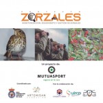 Mutuasport y entidades del sector cinegético lanzan el “Proyecto Zorzales: monitorización, seguimiento y gestión de zorzales en España”